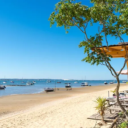 Pleine By Interhome * Arcachon